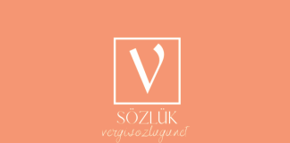 Vergi kaçakçılığı nedir