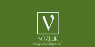 Kamyonet nedir?