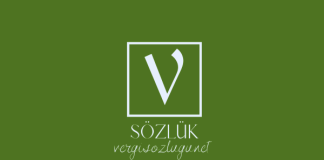 Panelvan nedir?