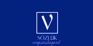 Sayıştay'ın denetlenmesi nasıl yapılır?