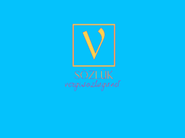 Daimi temsilci nedir