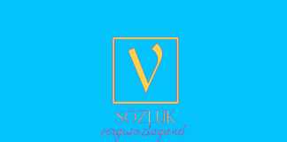 Daimi temsilci nedir