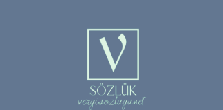 Özel gelir nedir