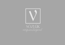 Bütçenin denetim türleri nelerdir? Bütçenin denetim türleri nelerdir?