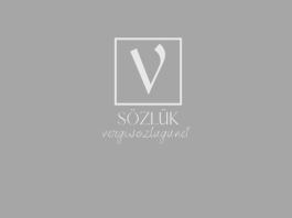 Bütçenin denetim türleri nelerdir?