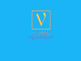 Şirket türleri nelerdir?