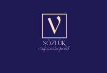 Şahıs şirketlerinin vergilendirilmesi Şahıs şirketlerinin vergilendirilmesi