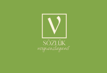 Gündüz bakımevi nedir?