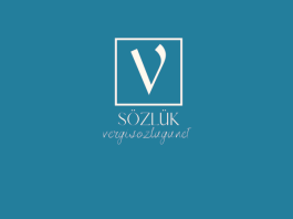 Öz kaynak devir hızı