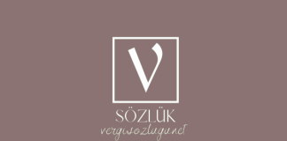 Medeniyet aklı